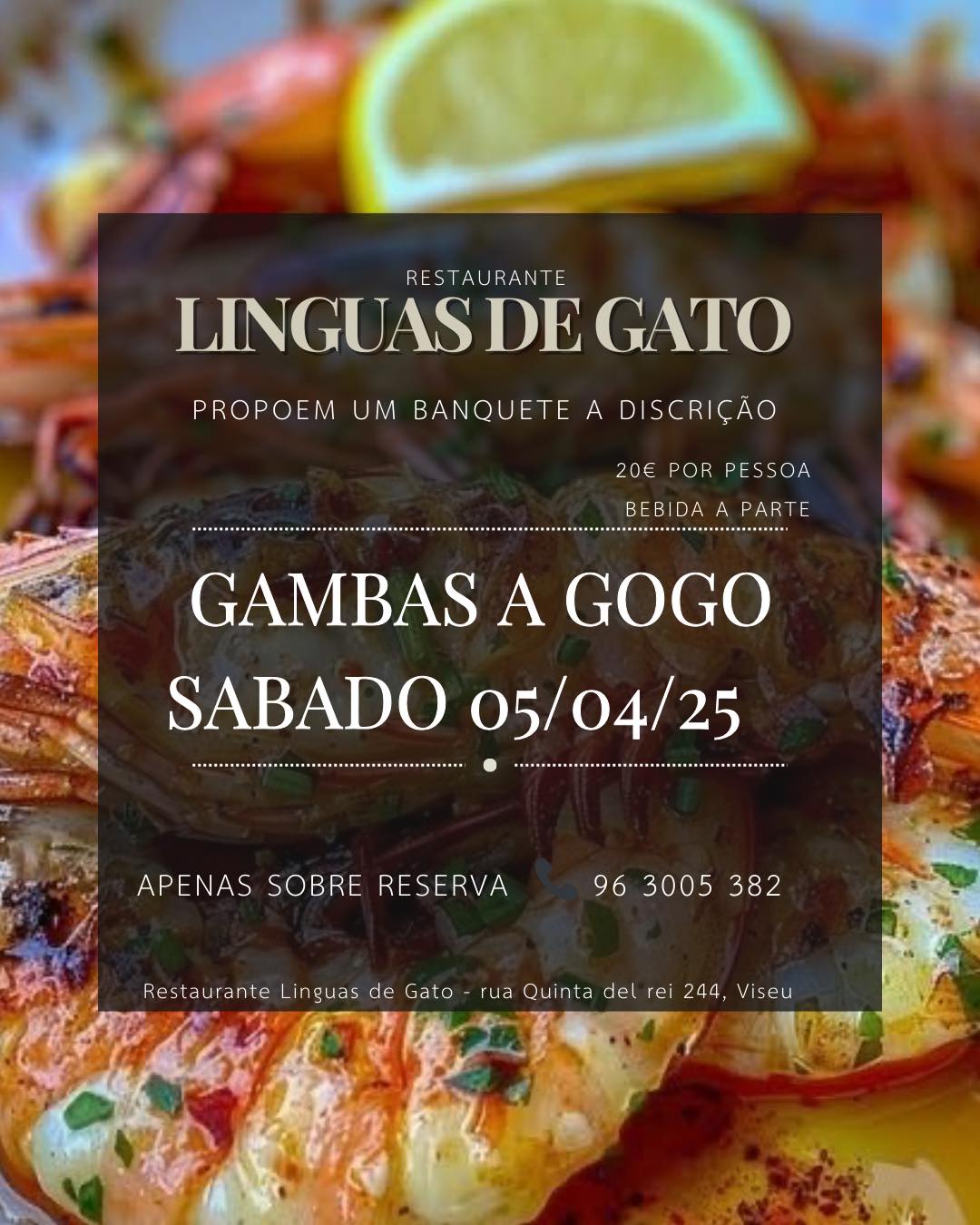 Noite de Gambás à Gogo